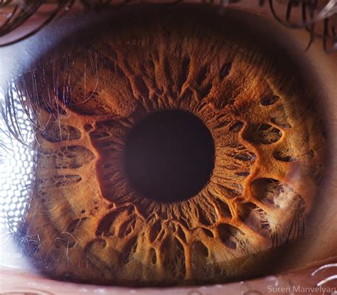 Amazingly Revealing Macro Photos Of The Human Eye