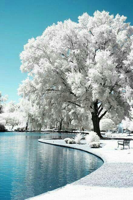 Most Beautiful Winter Scene Ever Its A Beautiful World