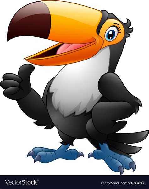 Cartoon Funny Toucan Giving Thumb Up Isolated On W