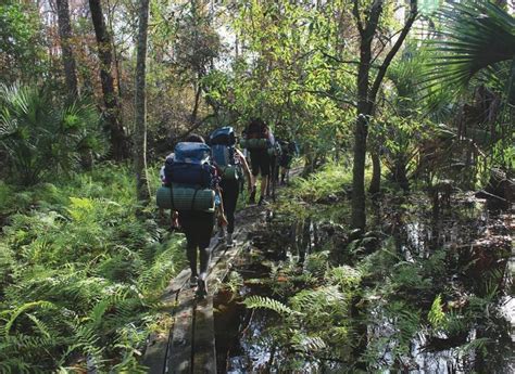 25 Beautiful And Easy Hikes In The Orlando Area