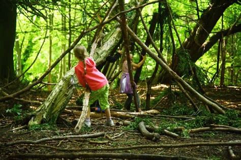 When did i become the one who's always chasing your heart? 'Nature Kindergarten' Brings Learning Outdoors in Edmonton ...
