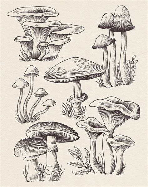 240 Radiant Mushroom Tattoos Ideas And Designs 2023 Artofit