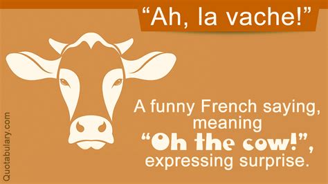 Hilariously Funny French Sayings Thatll Amuse You To No End Quotabulary