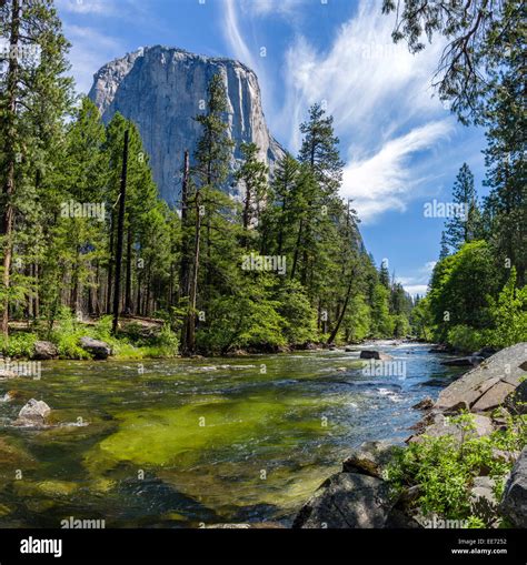 Yosemite National Park Merced River And El Capitan From Southside