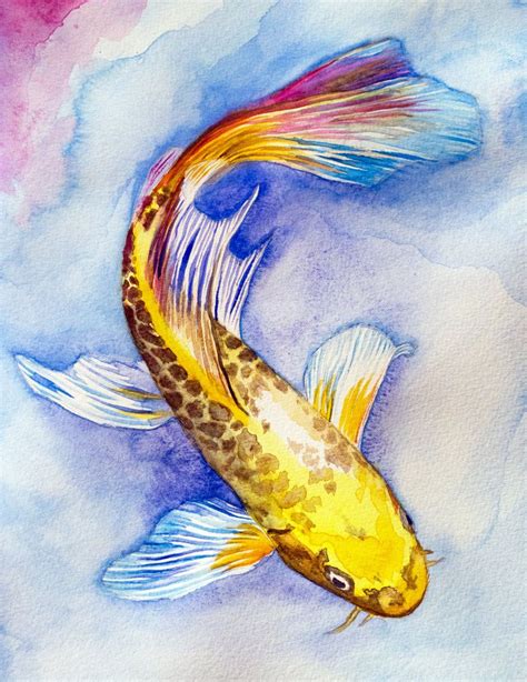 Butterfy Koi Watercolor Koi Watercolor Koi Art Koi Fish Drawing