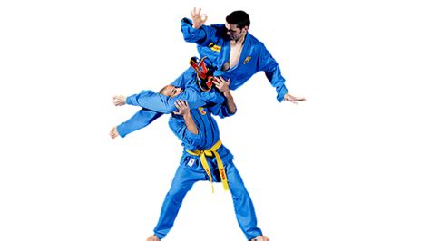 Vovinam Viet Vo Dao Site De Dojo Eysines