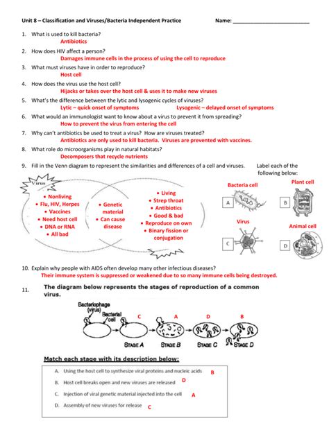 Characteristics Of Bacteria Worksheet