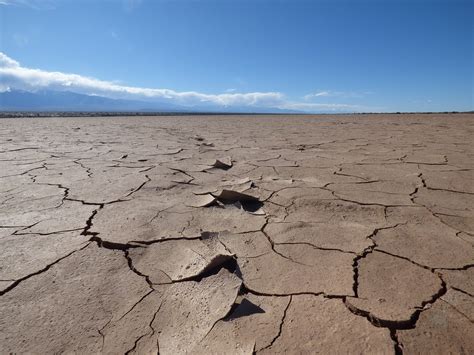 Desert Biomes — Semiarid Coastal Cold And Hot And Dry Expii