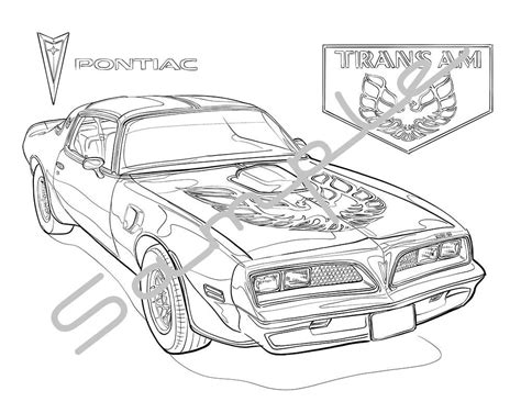 Pontiacfirebird TRANS AM Adult Coloring Page Printable Coloring Home