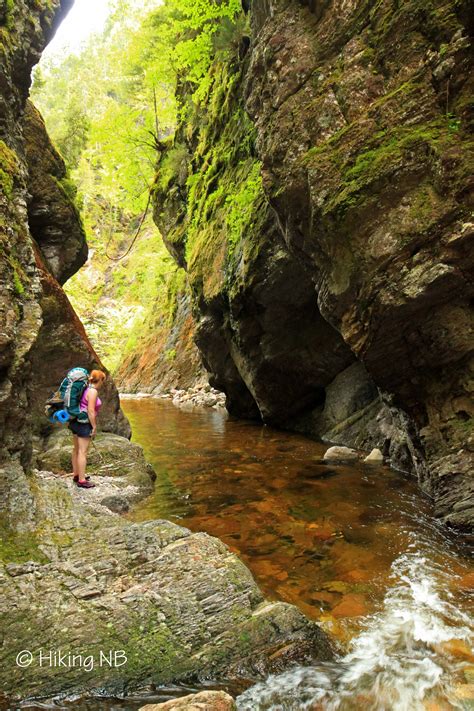 Alternatively search google for nb. From Walton Glen Gorge to the Fundy Footpath - Hiking NB