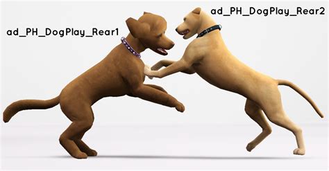 Sims 4 Dog Poses