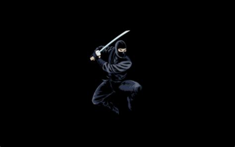 Ninja Desktop Wallpaper