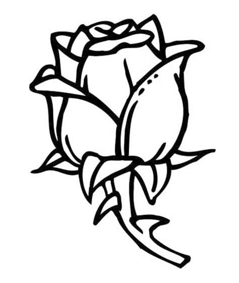 Cocarde flori de pus in piept nasi mama ginere trandafir breslo. Desene de colorat cu trandafiri poza 1 | Desene de colorat