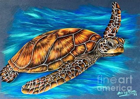 Sea Turtle Drawing By Art By Three Sarah Rebekah Rachel White Pixels
