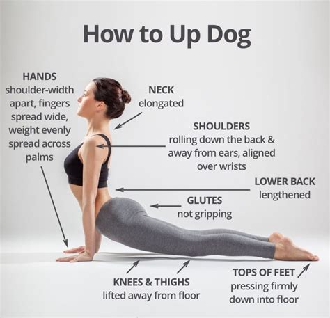 How To Do Upward Facing Dog How To Do Yoga Yoga For Beginners Yoga