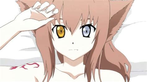 Top 5 Nekos In Anime Neko Amino