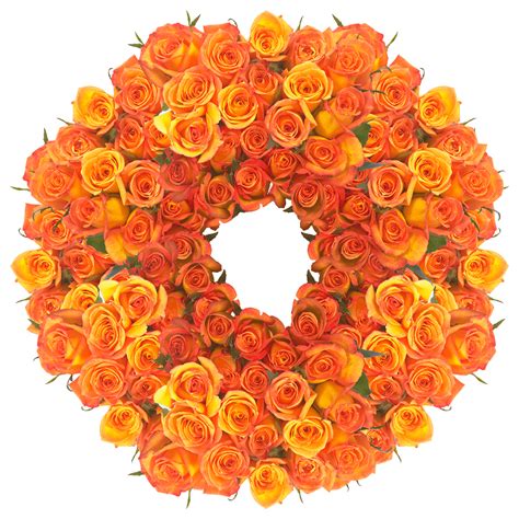 Wholesale Dark Orange Roses Globalrose