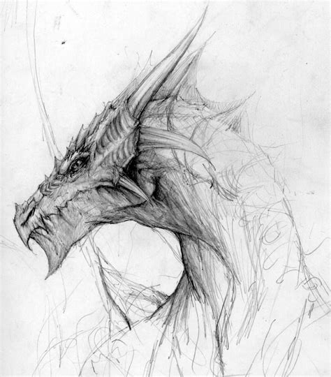 Dragon By Paulosaracchini On Deviantart Drawing Dragon Dragon Sketch