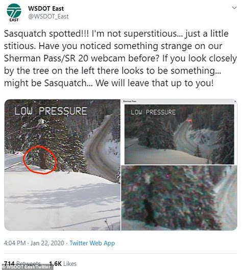Washington State Department Of Transport Posts Pic Of Bigfoot In The