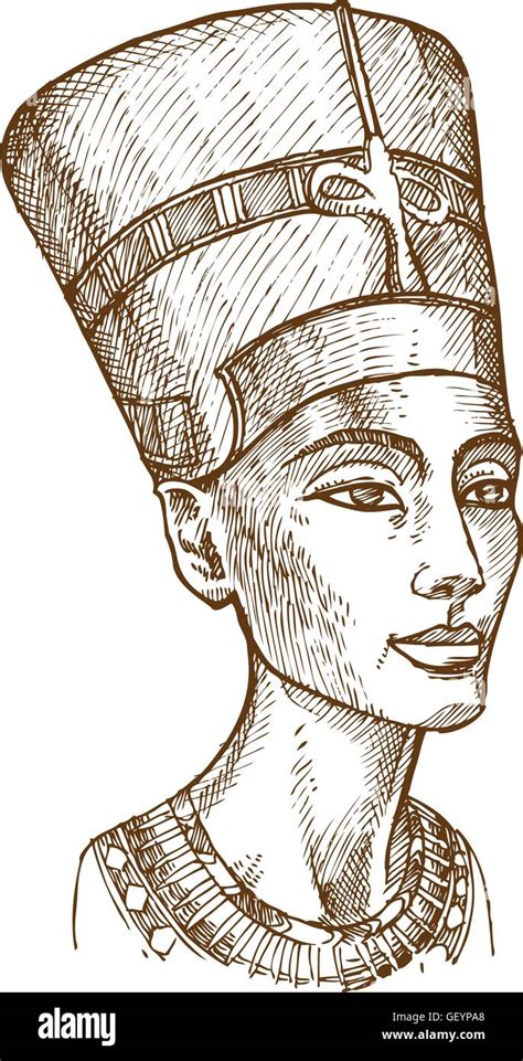 Bust Of Nefertiti Hand Drawn Stock Vector Image And Art Alamy