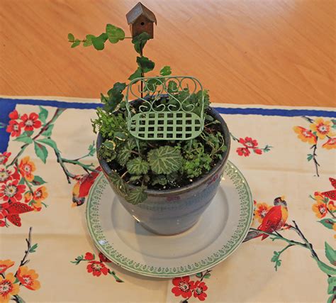 In general, one quart of potting mix fills a six inch wide pot, two what if i see any kind of green algae or mildew form on the mix or media ( stored or in bag or in pots with plants)? New Houseplants For A New Year - Hyannis Country Garden