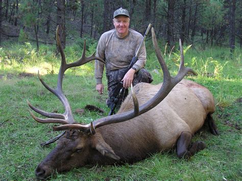 Hcu Elk Hunt Ek91 Arizona Elk