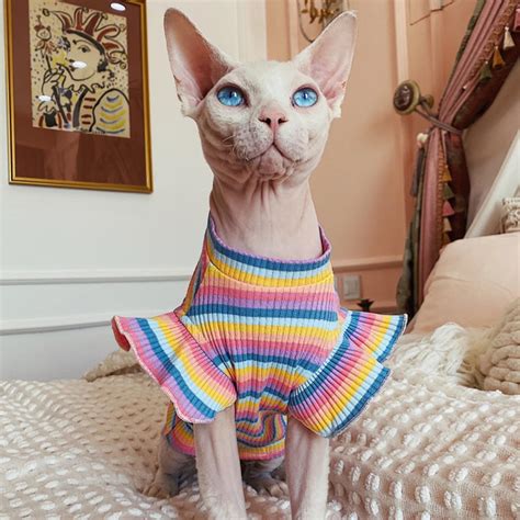 Colorful Cat Clothes Cat Dress Hairless Cat Clothes Sphynx Cat Etsy