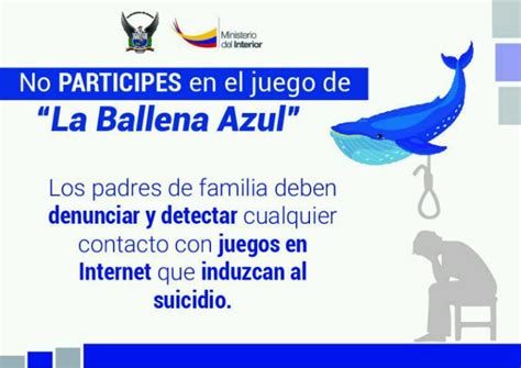 Bachelet Advierte De Riesgos En La Red Como Juego De La Ballena Azul