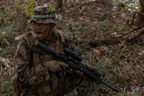 Dvids Images Mwss 273 Combat Engineers Conduct Recon Patrol Image