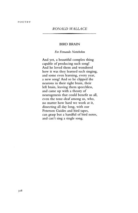 Bird Brain By Ronald Wallace Poetry Magazine