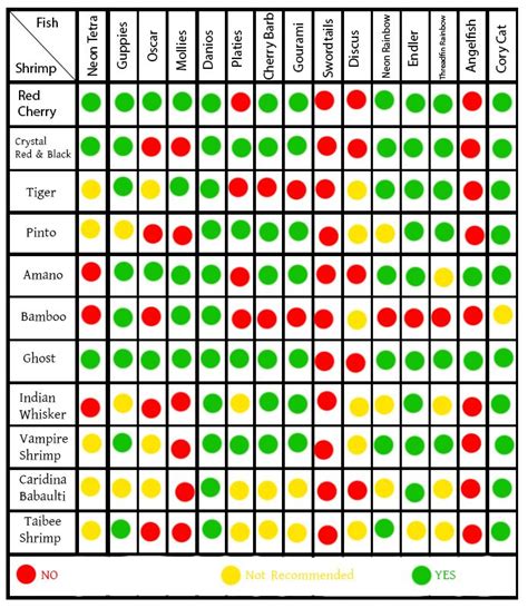 Freshwater Community Fish Compatibility Chart