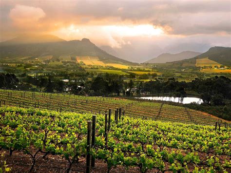 Cape Winelands Home Of Award Winning Wineries