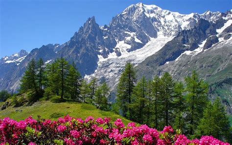 Alps Spring Hd Wallpapers Wallpaper Cave