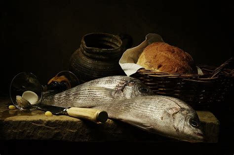 Still Life With Fish Photo By Photographer Sergei Sogokon Still Life