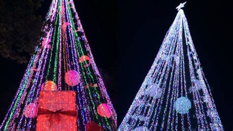 Australian Christmas Tree Sets World Record With 518838 Lights Ctv News