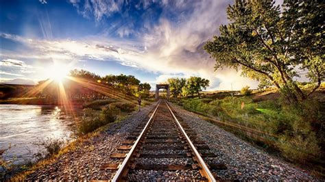 Railroad Between Green Plants Trees And Water In Sunrays Background Hd