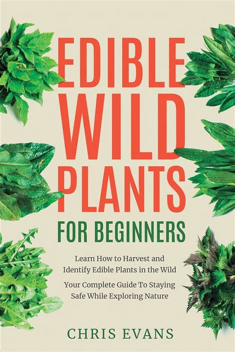 Edible Wild Plants For Beginners Learn How To Harvest And Identify