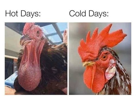 Hot Days Cold Days Prankzone Meme