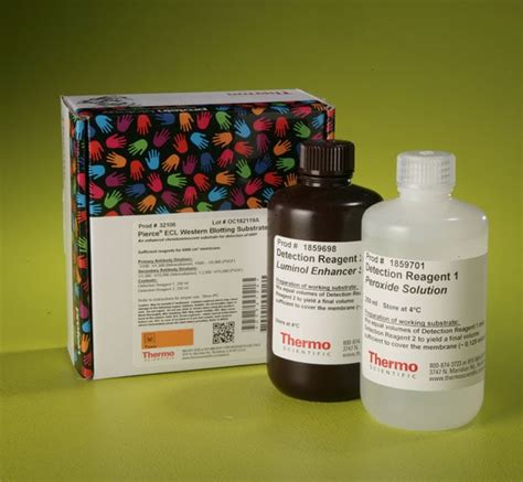 Thermo Scientific Pierce Ecl Western Blotting Substrate Ml Kit