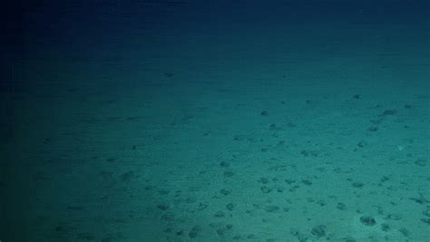 The Secret On The Ocean Floor Bbc News