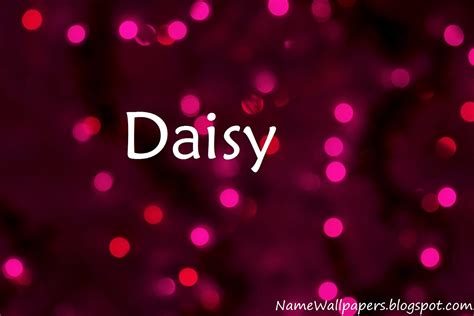 Daisy Name Wallpapers Daisy Name Wallpaper Urdu Name Meaning Name Images Logo Signature