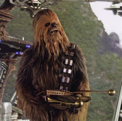 28 Best Chewbacca Images On Pinterest Chewbacca Star Wars And Starwars