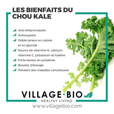 Les Bienfaits Du Chou Kale Chou Kale Aliments Bons Pour La Santé