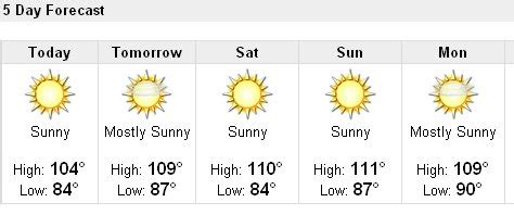 Delhis Weather Forecast For The Next 5 Days Suramya S Blog