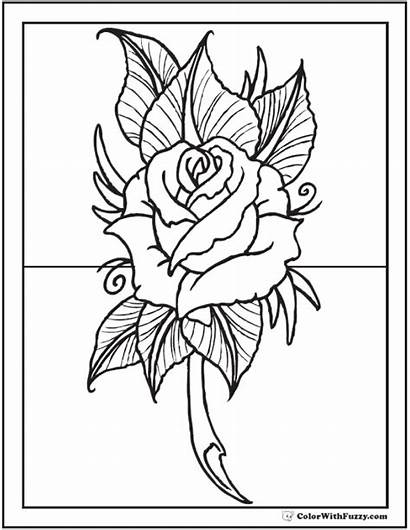 Coloring Rose Pages Drawing Pdf Leaf Printable