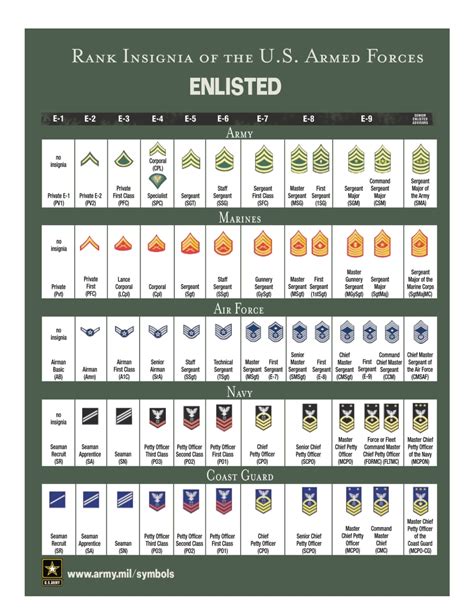 The Army Us Ranks In The Army