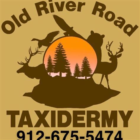 Old River Road Taxidermy Bloomingdale Ga