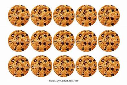 Cookie Chip Chocolate Clipart Cookies Clip Printable
