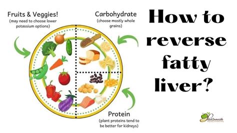 top 10 ways to reverse fatty liver disease natural health