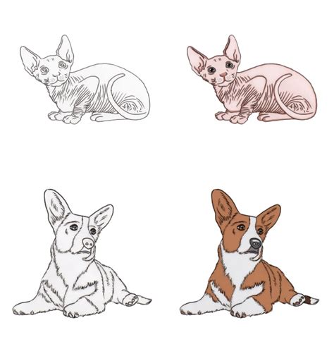 Please note these are unframed and unmounted prints, photographs are for illustrative purposes only. Draw your pet or favorite animal by Spumoni420